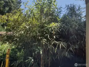 Lush landscaping
