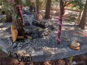 A Fountain Pond Garden!