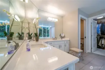 Remodeled spa-like primary bath features dual vanity, walk-in shower, soaking tub, walk-in closet, updated lighting flooring and more.
