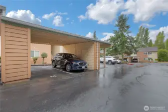 Space #15 is reserved for this Condo along with the storage unit next to your parking space. There is plenty of guest parking here at Valley High.