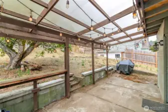 Back patio -