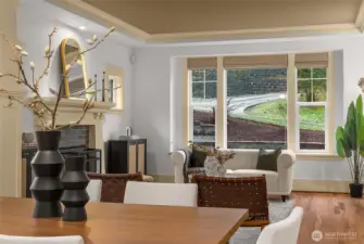 Hunter Douglas blinds, details in the ceiling and woodwork