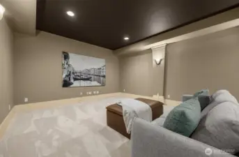 The above-grade media room