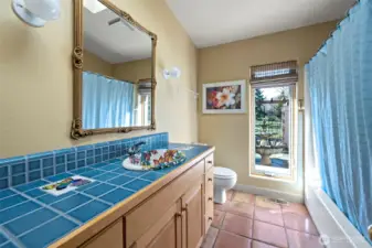 Guest bathroom