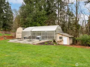 The amazing greenhouse!