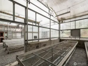 Temperature controlled green house interior with growing racks.