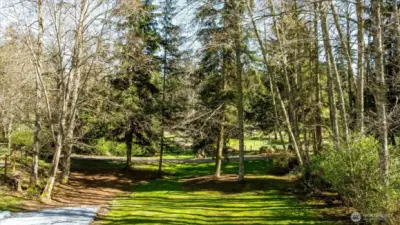 The shared gravel road serves only 4 homes.