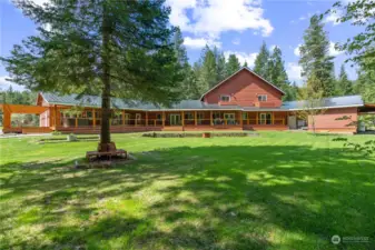 Beautiful landscaped, automatically sprinkled lawn out back