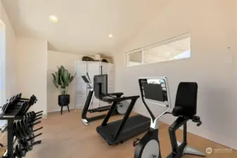 Home Gym option for flex room