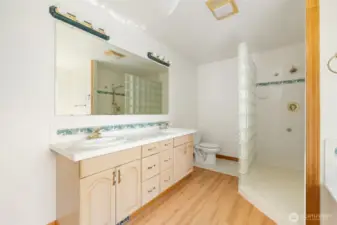 Primary bath walk in shower.
