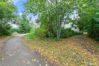 Well-maintained public trail leads to shopping, services and a stunning view of Mt Baker!