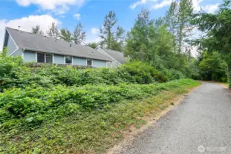 Cordata spur of Bellingham's award-winning trail system passes right behind the house. Plenty of blackberries to keep curious neighbors or critters out