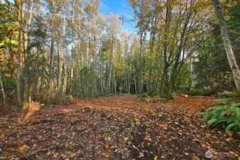Septic Permit would be installed in this clearing.