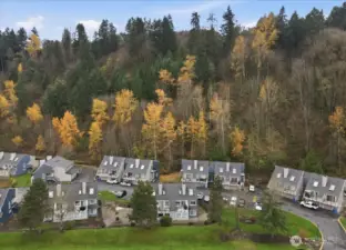 Serene natural backdrop