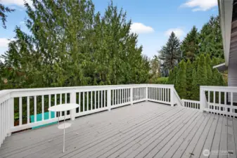 Large back deck