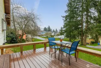 South-facing deck off the kitchen.