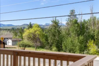 A vibrant stand of cottonwoods- deer, turkeys and songbirds out your door!