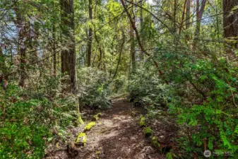 A charming pathway leads toward the road