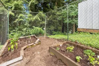 Fenced fruit, veggie, and herb garden.