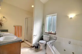 Primary Bath