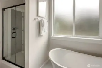 Luxury Primary Bath - full tub and glass shower!