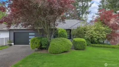Welcome to Summer Meadows in Sammamish!
