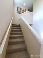 Brand new carpets installed in June 2025 in the stairwell, hallway and all bedrooms upstairs.