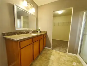 Main suite bathroom updated in 2020. Walk-in closet, shower and toilet.