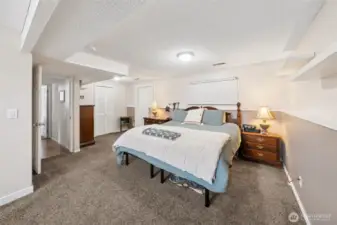 Primary bedroom on the lower level is another room you have to see in person to truly appreciate. The door beyond the bed opens to a large storage room that could also be used as a gym/workout room. Additional door beyond the bed is a walk-in closet.