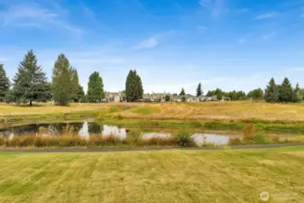 This home is located on Homestead's pond. 10, 019 sq ft lot, underrground sprirnker system. Despite the golf course currently not in operation, the relaxing view of nature & wildlife is indeed a blessing!
