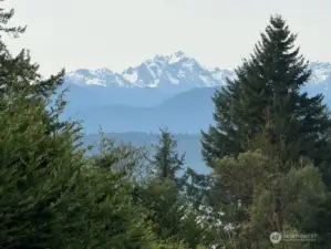 Views of the Olympics