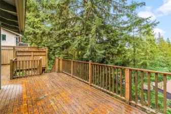 Serene tree lined space off main deck.