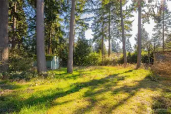 Large, secluded lot with mature trees.