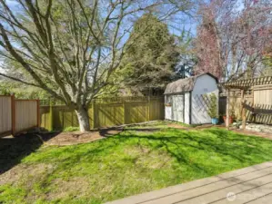 Backyard shed was repainted in 2023.  Great space for gardening tools and extra storage.