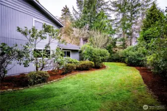 ONE MORE OF THE BACK OF HOME