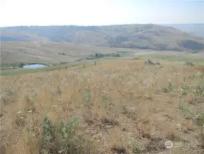 View Southeast;  part of South fenceline visible