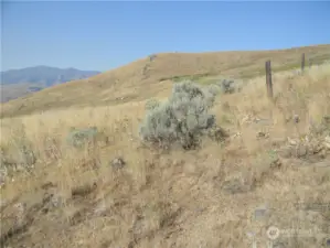 View SW. Billygoat & South fence line