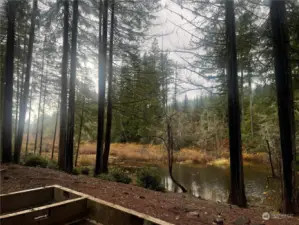 View of creek in front of home foundation