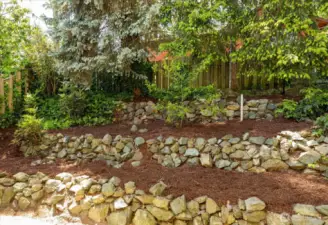Landscaped back patio area
