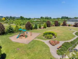Community park and trails