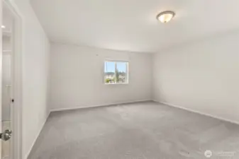 Large primary bedroom