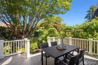 Framed by mature trees and layered greenery, the deck feels perfectly secluded for dining or unwinding.