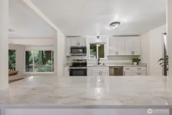 Beautiful quartz counters!