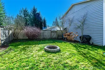 Firepit perfect for summer evening!