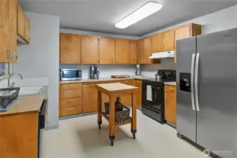 Plenty of cabinets in the kitchen.