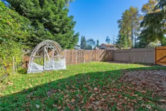 Back yard and garden space