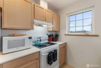 a very nice kitchen with view of the ocean.