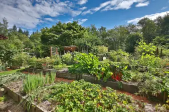 Plenty of sunshine and big sky! Get your hands in the soil and grow your own veggies.