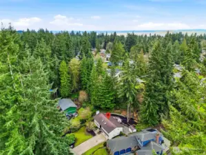 Aerial Perspective of Home Surrounded by Mature Evergreens in Established Everett Neighborhood