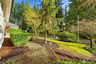 Landscaped Front Yard with Mature Trees in Desirable Forest Park Everett Location